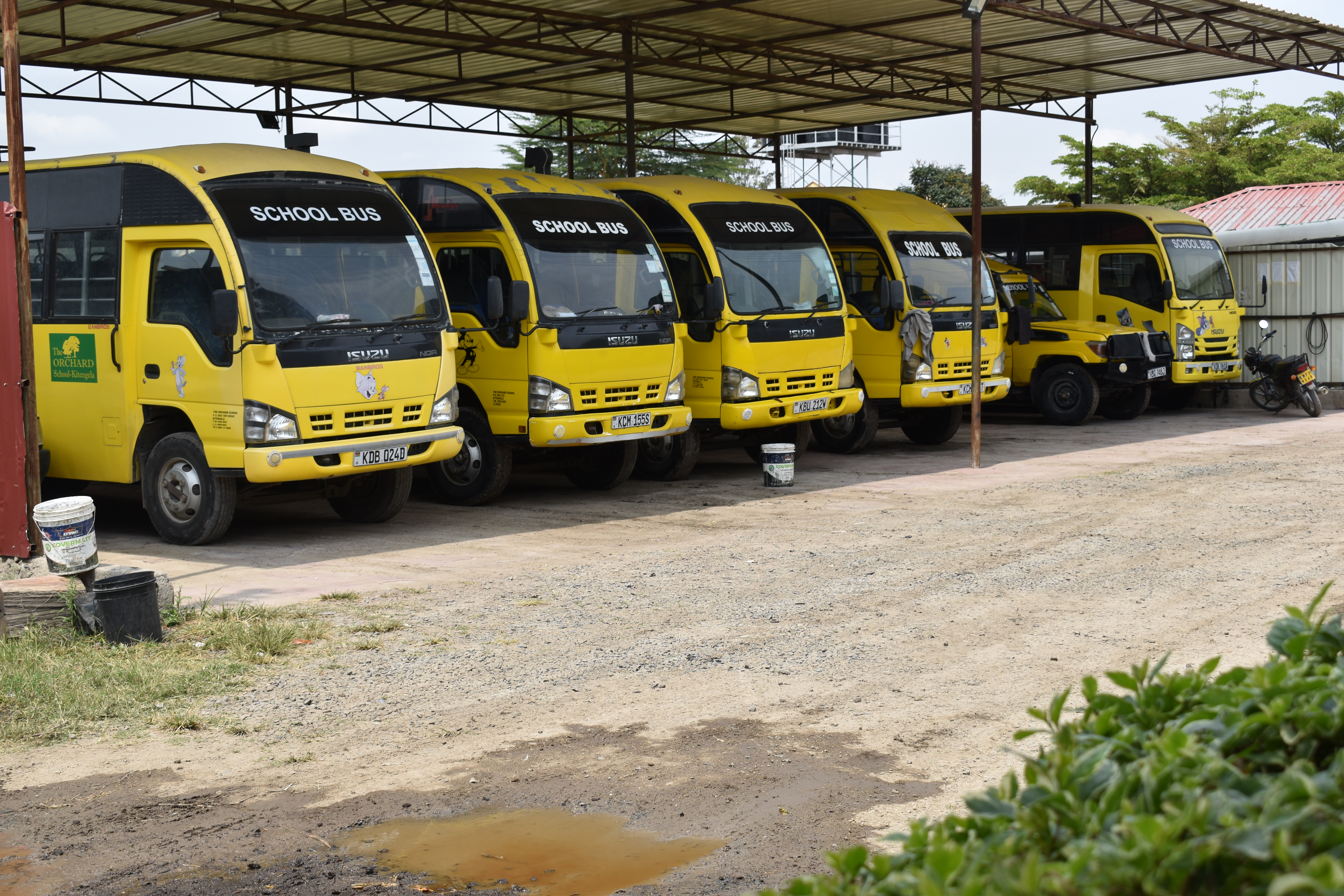service images
